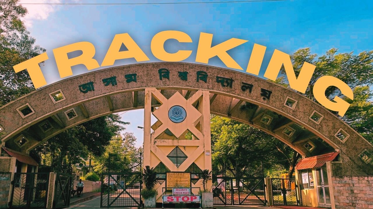 3D camera track & Timeramp